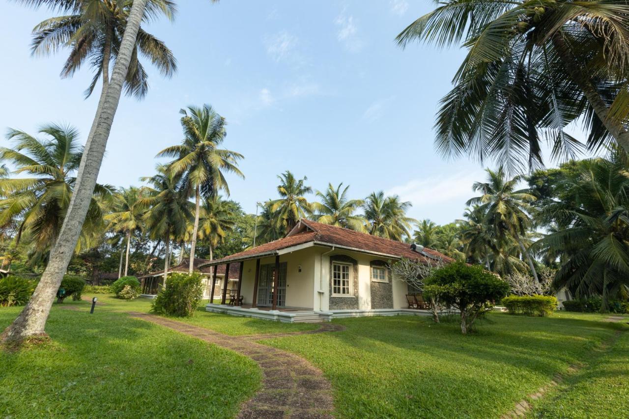 Tamarind Tree Garden Resort - Katunayake Negombo Exterior foto