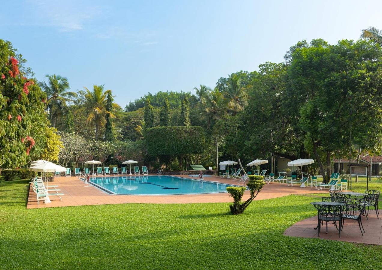 Tamarind Tree Garden Resort - Katunayake Negombo Exterior foto