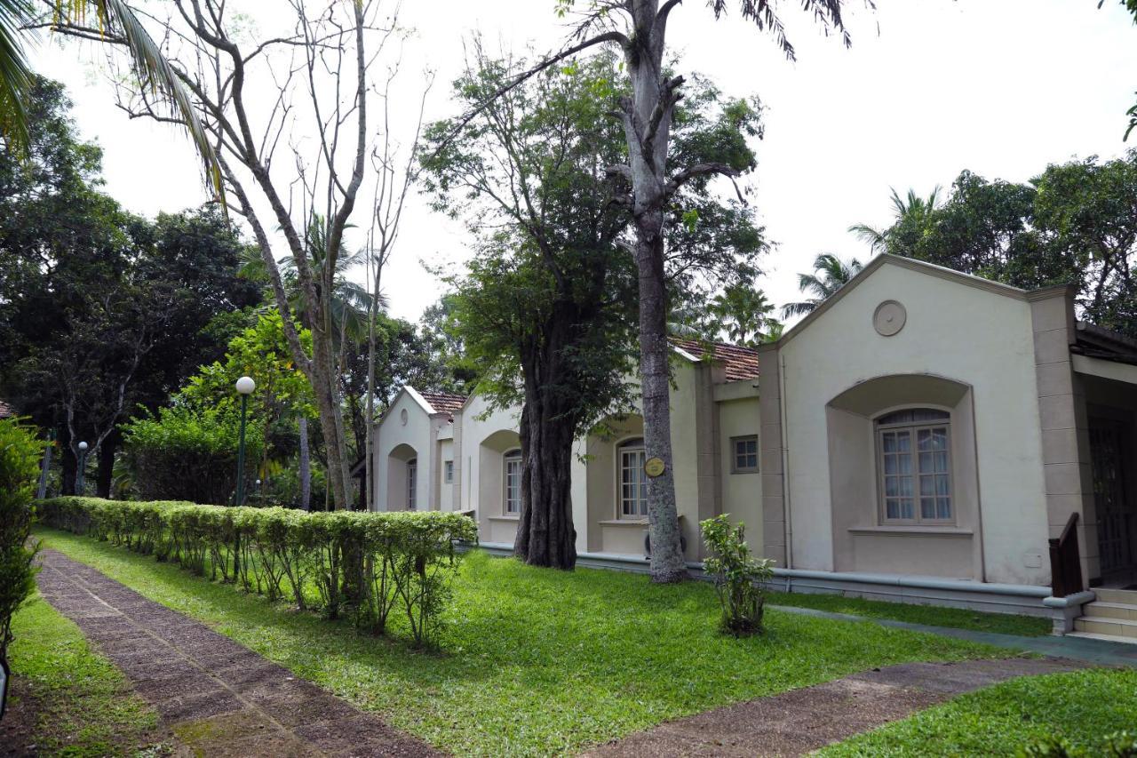 Tamarind Tree Garden Resort - Katunayake Negombo Exterior foto